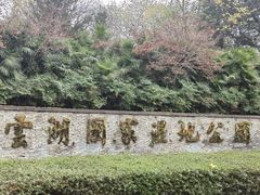 -重庆彩云湖湿地公园
