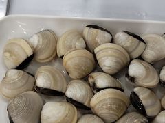 -凯盈阁·顺德私房菜·桑拿鸡