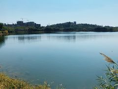 -广东花都湖国家湿地公园