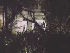 -Long Bar(莱佛士酒店)