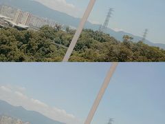 -金鸡山公园