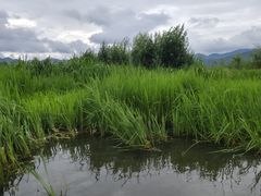 -丽江泸沽湖景区