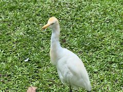 -吉隆坡雀鸟公园