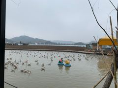 -米果果小镇
