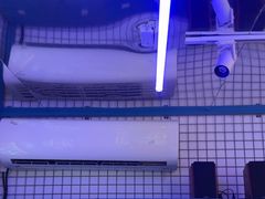 -移动谜城·大笨象密室逃脱(五棵松店)