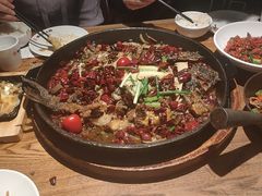 -老板恋上鱼(高新万达店)