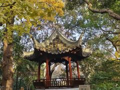 -秋霞圃