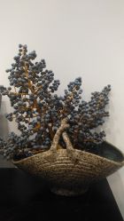 -云上瑜伽·普拉提·维密馆