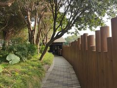 -福田红树林生态公园