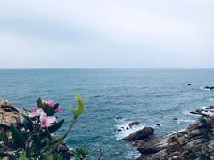 -西涌国际滨海旅游区