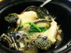 -ZF Seafood Restaurant 卓峰海鲜餐