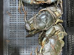 -無招牌海鮮(芽笼店)