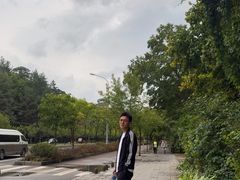 -美人松苑
