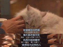 -钢管厂五区小郡肝串串香(南山店)