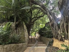 -九龙公园