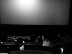 -大地影院(宁波培罗成店)