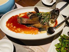 -采悦轩中餐厅·粤菜·海南菜(神州半岛喜来登度假酒店)