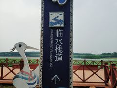 -丁香湖公园