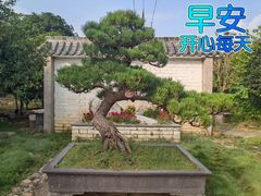 -莞府家宴·东莞菜(市民服务中心店)