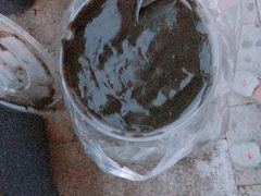 -鞠氏黑芝麻糊(水塔店)