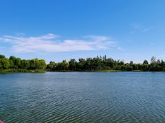 -东郊湿地公园