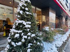 -新世界百货(明洞总店)