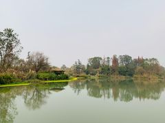 -桤木河湿地公园