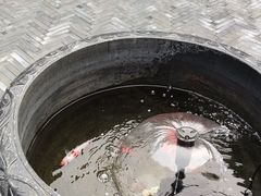 -府学·秋果S酒店(北京南锣鼓巷四合院店)