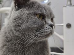 -极木²邸 人与宠物·互动社区