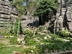 -梭布垭石林景区