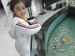 -海天一色海景自助餐厅(西港花园店)