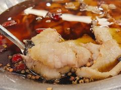 -沸腾鱼乡(知春路分店)