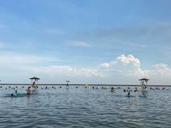 -碧海金沙