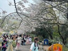 -杭州少年儿童公园
