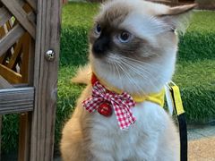 -梧桐巷咖啡厅·coffee&bar