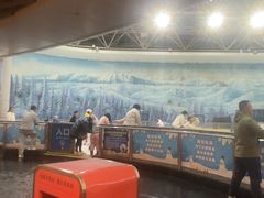 -世界之窗阿尔卑斯冰雪世界