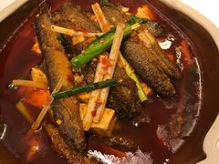 泥鳅穿豆腐-三碗水湖生态园