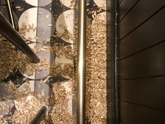 -Long Bar(莱佛士酒店)