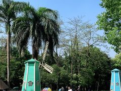 -南宁良凤江国家森林公园