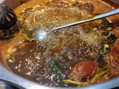 -亮欢寨快活林 酸汤鱼(仁怀店)
