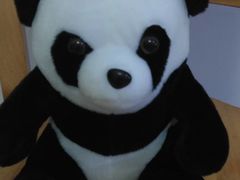 -熊猫不走蛋糕（同城送）(长沙店)