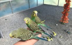 -萌宠亲子动物乐园(槐房万达店)