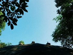 -火炉山森林公园
