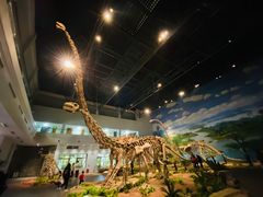 -自贡恐龙博物馆