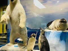 -国家自然博物馆