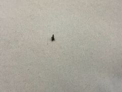 -西山人家·二十年老字号农家菜(旺山店)