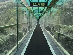 -灵栖洞天