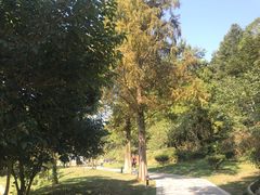 -龙宫洞风景区