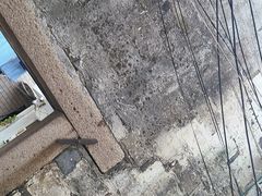 -三林塘老街