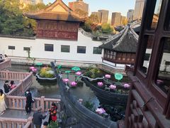 -豫园湖心亭茶楼